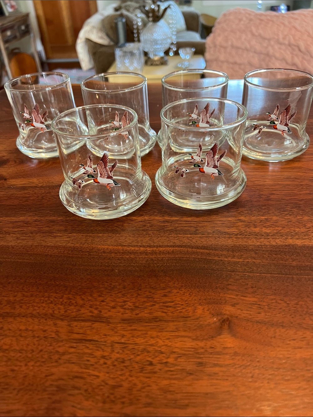 Set of 6 Clear Duck-Illustrated Shot Glasses - Clear with Brown/Green Accents